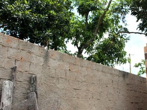 Muro onde adolescente subiu e foi baleado fica junto à mangueira, no sul da Bahia | Foto: Sessé Guimmas/Medeiros Dia Dia