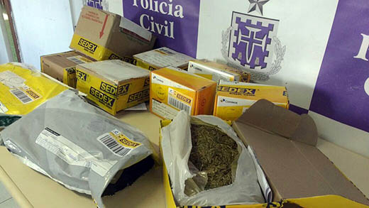 Droga foi encontrada durante ação em distribuidora dos Correios | Foto: Divulgação/ Polícia Civil
