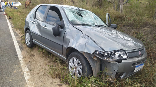  Lamarão - Cavalo morre e dois homens ficam feridos em acidente na BA-400