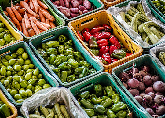 feira-verduras-legumes-raf06426