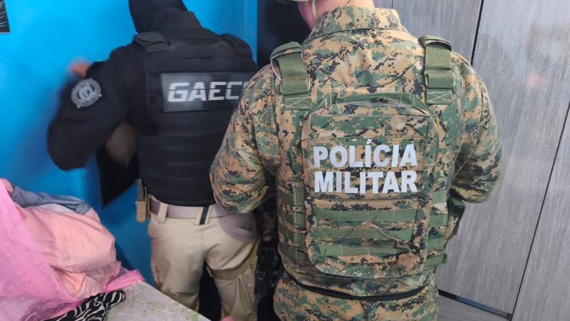 Operação nacional contra tráfico de aves silvestres cumpre mandados em Valente e Monte Santo