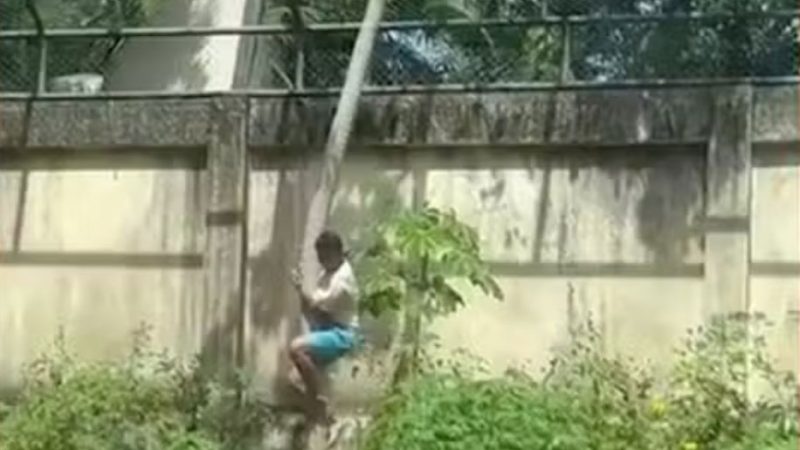 Homem é morto por leoa após entrar em jaula em zoológico de João Pessoa