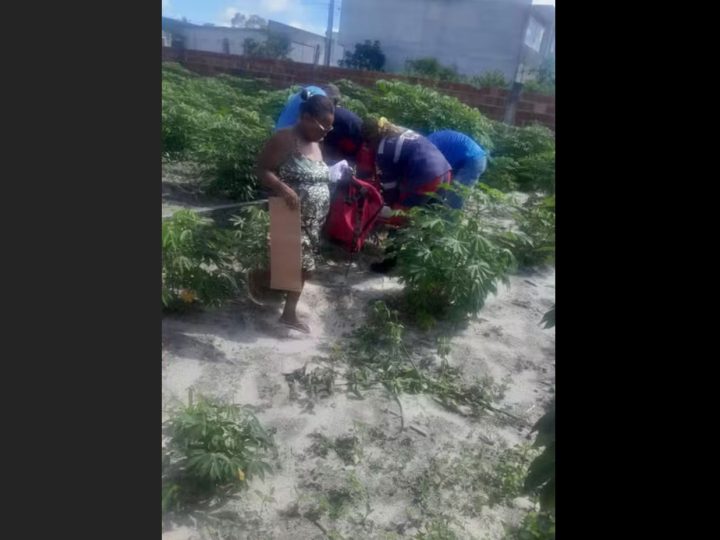 Idoso fica gravemente ferido após cair sobre vergalhão enquanto capinava terreno em Conceição do Coité