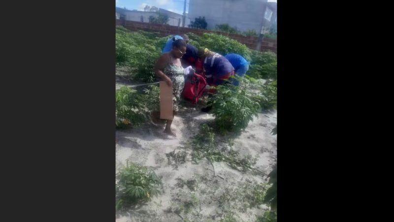 Idoso fica gravemente ferido após cair sobre vergalhão enquanto capinava terreno em Conceição do Coité