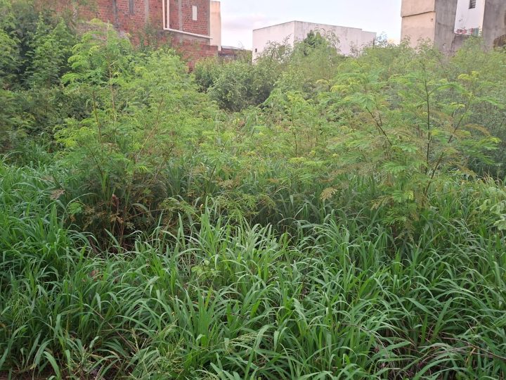 Homem desaparecido há cerca de 24 horas é encontrado morto nos arredores de lago no centro de Santaluz