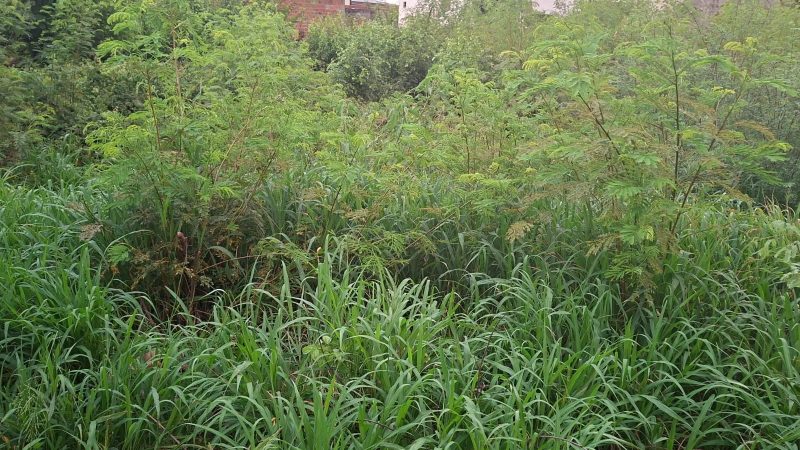 Homem desaparecido há cerca de 24 horas é encontrado morto nos arredores de lago no centro de Santaluz