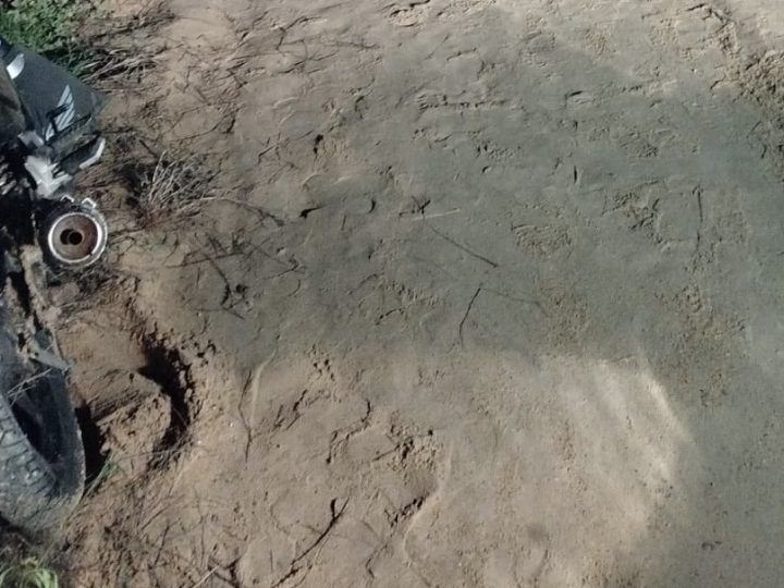 Homem morre após acidente entre moto e animal na zona rural de Santaluz