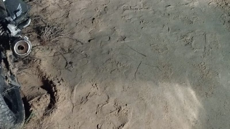 Homem morre após acidente entre moto e animal na zona rural de Santaluz